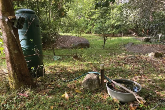 Making a Permanent Bird Bath, Not Just for Birds