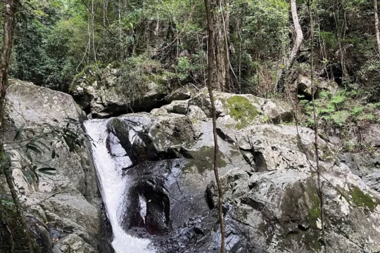 Using Avenza Maps to find a Path to the Creek