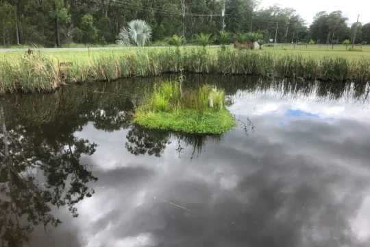 How to manage Algae and Algal Blooms on Dams