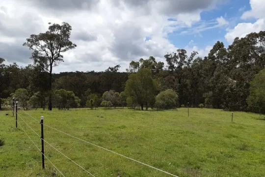 Happy Soils, Happy Horses