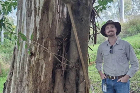 Replacing Exotic Trees with Native Figs