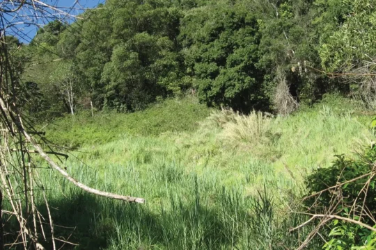 Pipe Dreams: From Beginning to End