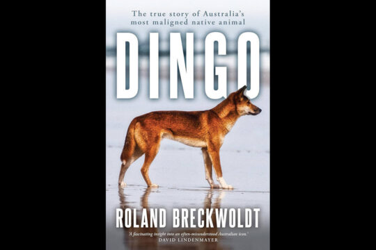 Dingo: The true story of Australia’s most maligned native animal