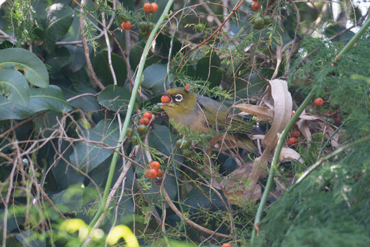 Weeds! Weeds! Weeds! A guide to staying positive and inspired